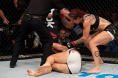 ufc fight night brasilia
