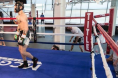 Conor McGregor John Kavanagh