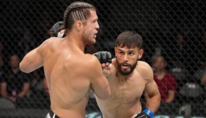 Yair Rodriguez, Brian Ortega