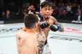 Brandon Royval, Brandon Moreno, UFC Mexico City, Pros react, UFC