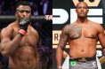 Francis Ngannou, Renan Ferreira, PFL, MMA