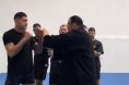 Alex Pereira and Steven Seagal
