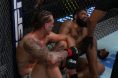 Brendan Allen, UFC Vegas 90, Results, UFC, Chris Curtis