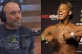 Joe Rogan, Jamahal Hill, UFC, UFC 300