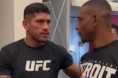 Alex Pereira, Jamahal Hill