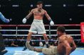 Ryan Garcia, Devin Haney, Boxing, Pros react