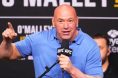 Dana White, UFC 303