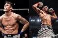 Darren Till, Nate Diaz