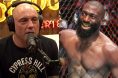 Joe Rogan, Cédric Doumbé