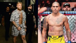 Jake Paul, Alex Pereira, UFC, MMA