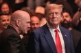 Dana White, Donald Trump