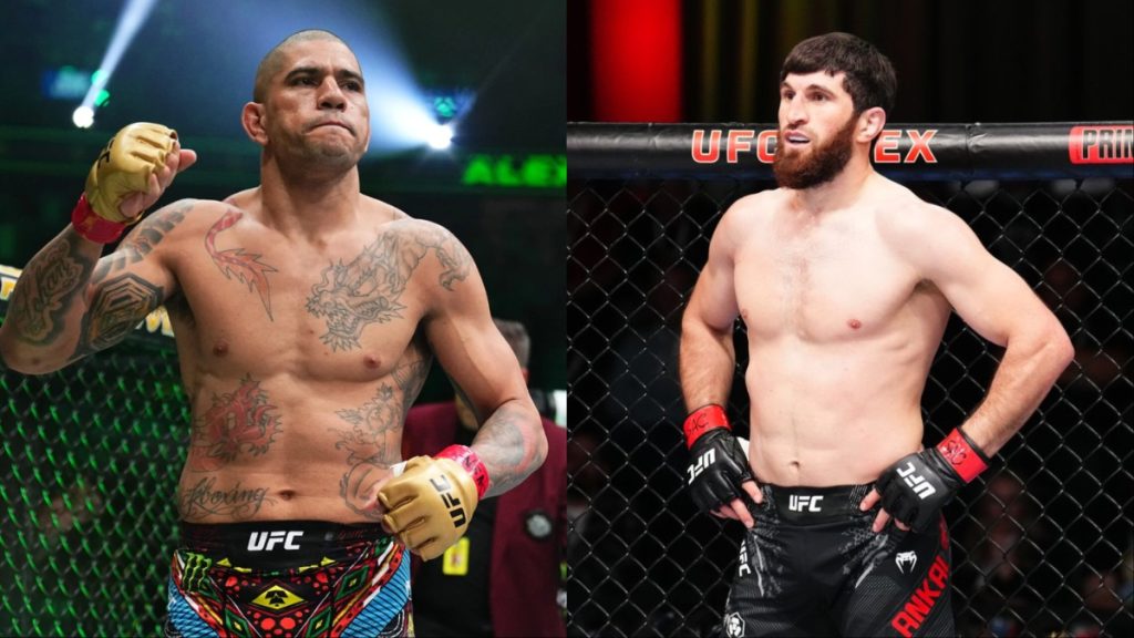 Alex Pereira, Magomed Ankalaev