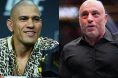 Alex Pereira, Joe Rogan, UFC, Francis Ngannou, MMA, Joe ROgan Experience
