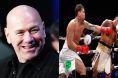 Dana White Darren Till Misfits Boxing