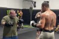 Action Bronson, Alex Pereira, UFC, MMA, UFC 314, Magomed Ankalaev