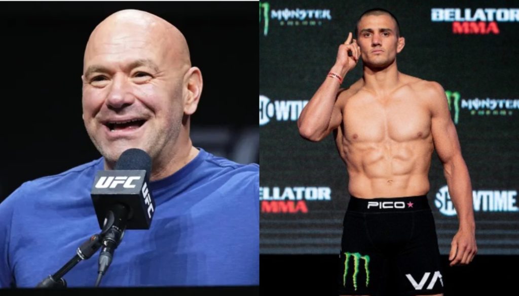 Dana White, Aaron Pico