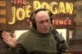 Joe Rogan, UFC, MMA, Georges St-Pierre