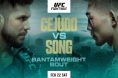 UFC Seattle, Henry Cejudo, Results, Song Yadong, UFC