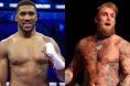 Anthony Joshua, Jake Paul