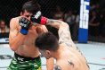Brandon Moreno, Steve Erceg, UFC Mexico City, Pros react, UFC