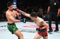 Brandon Moreno, Steve Erceg, UFC Mexico City, Results, UFC