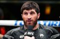 Magomed Ankalaev