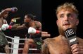 Tank Davis Lamont Roach Jake Paul