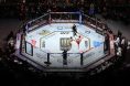 UFC Octagon Live