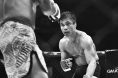 Andrew Denibe, ONE Championship, MMA