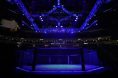 UFC Octagon blue