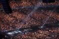 UFC crowd