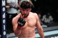 Arman Tsarukyan UFC fight MMA
