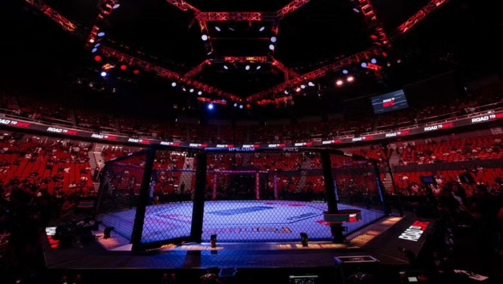 UFC Fight Night Octagon