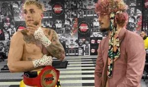 Sean O'Malley, Jake Paul, Boxing, UFC
