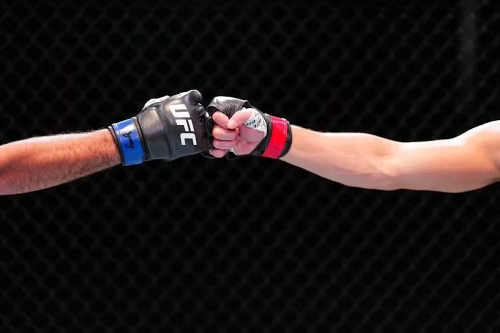 UFC Seattle gloves