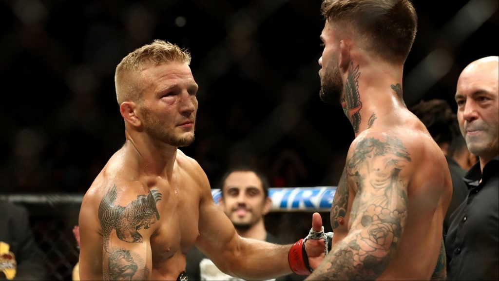 TJ Dillashaw and Cody Garbrandt shake hands after their UFC title rematch