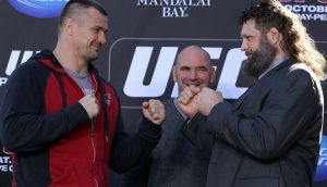 Mirko Cro Cop, Roy Nelson