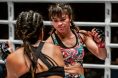 Stamp Fairtex
